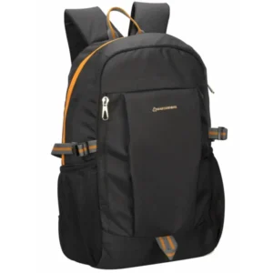 Ace Grey Laptop Bag